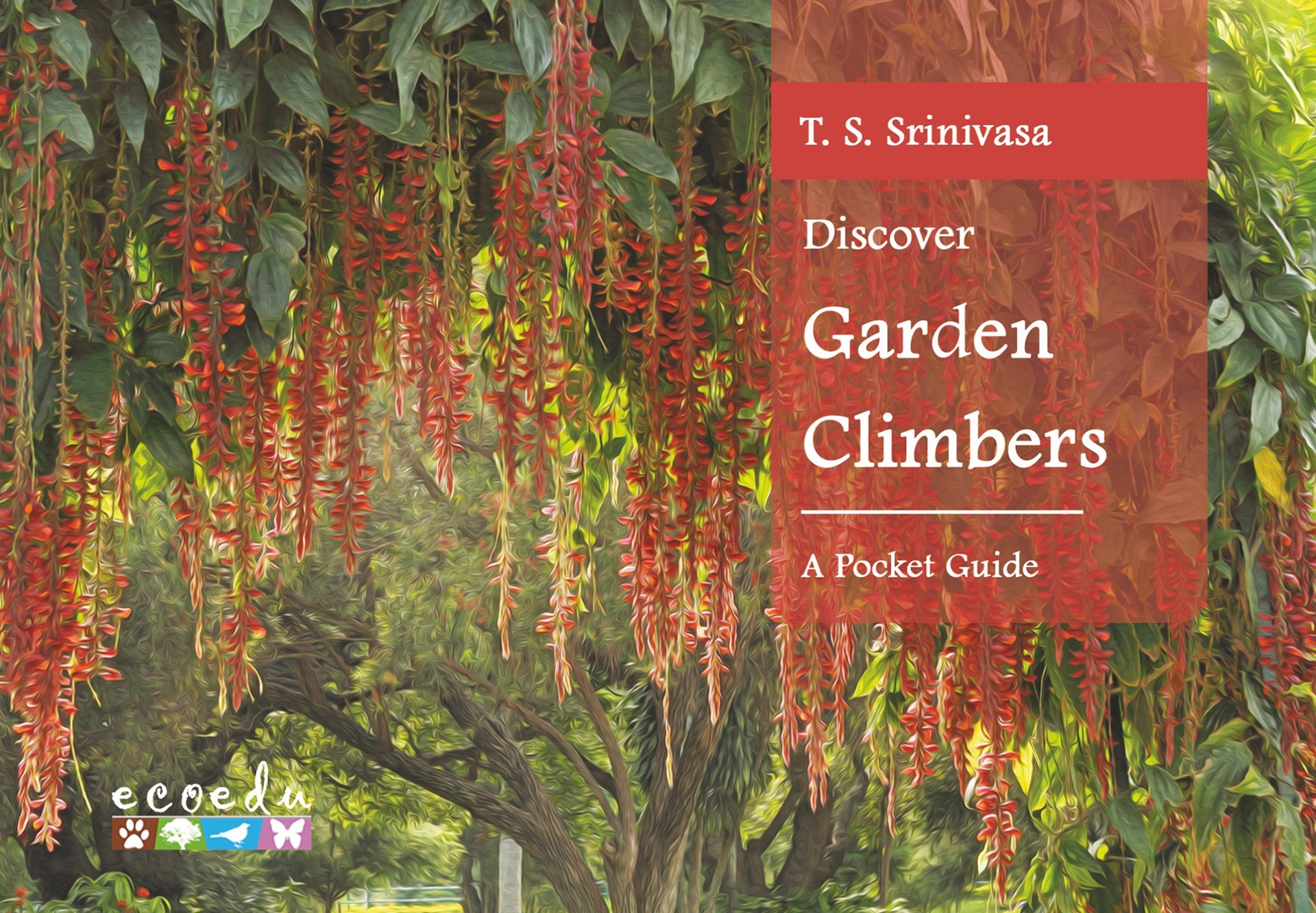 Discover Garden Climbers: A Pocket Guide