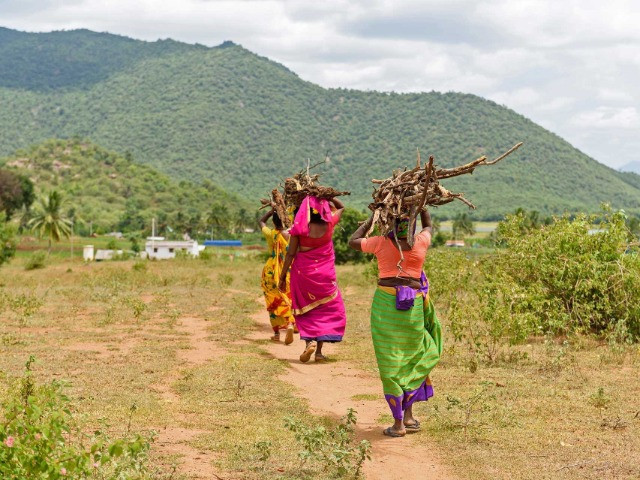 Community-Based Conservation In The Male Mahadeshwara Hills