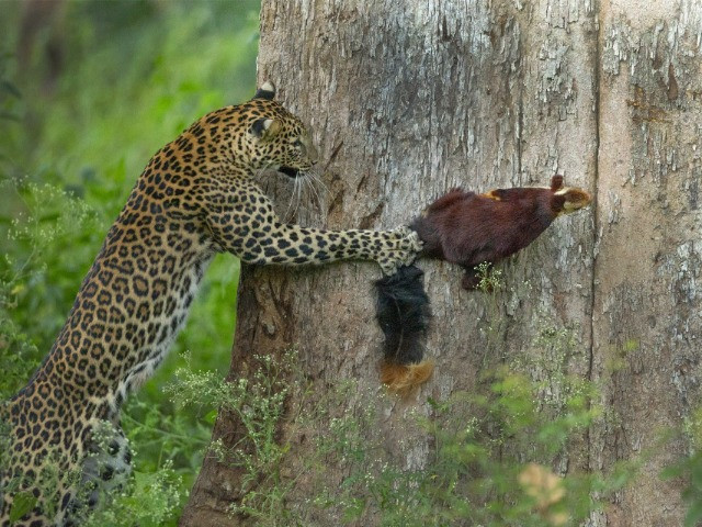 Nature inFocus Photography Contest 2021: The Winners