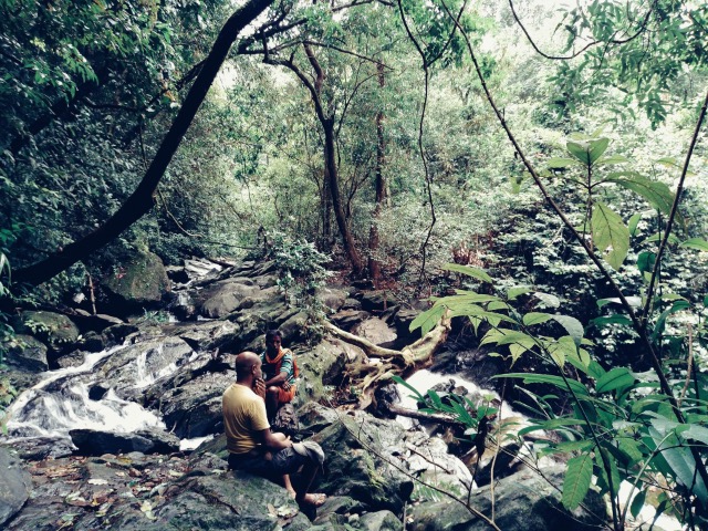 Lost And Found In The Sharavathi Valley