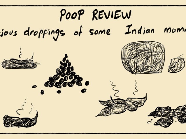 What's Your Scat Score?
