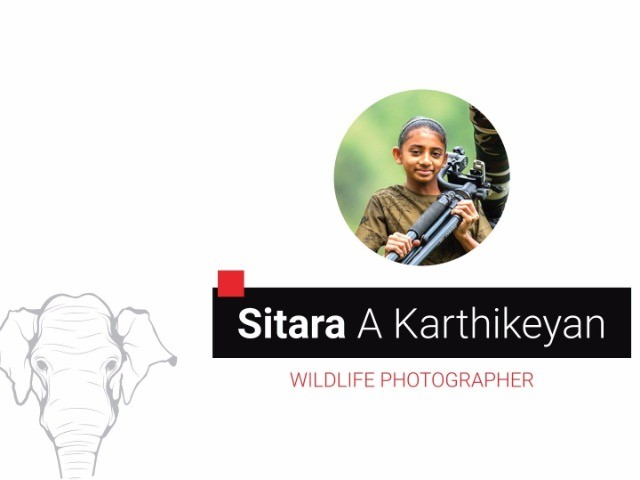 A Young Photographer's Journey