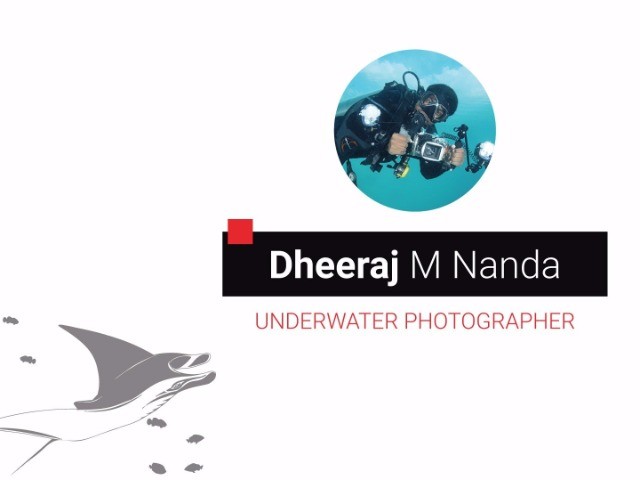 A Young Diver's Adventures