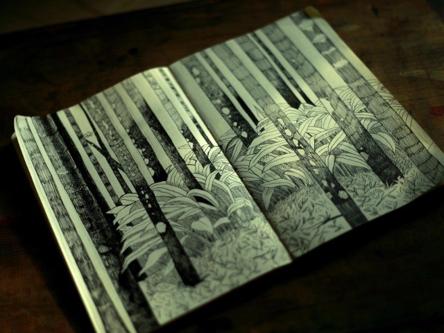 Agumbe Diaries