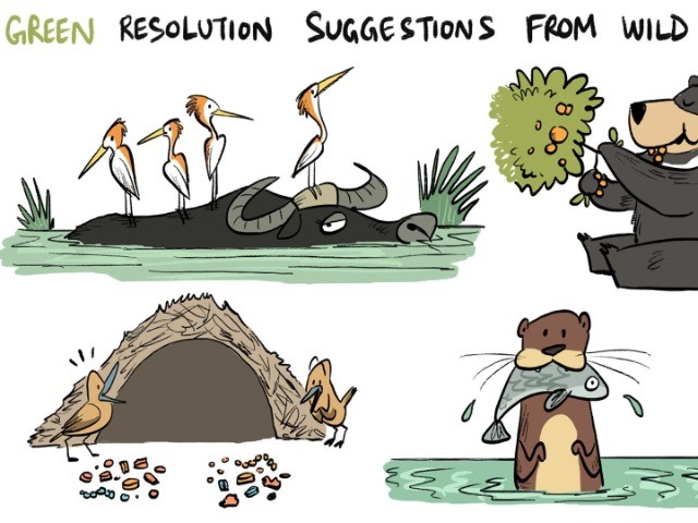 Green Resolutions for 2018