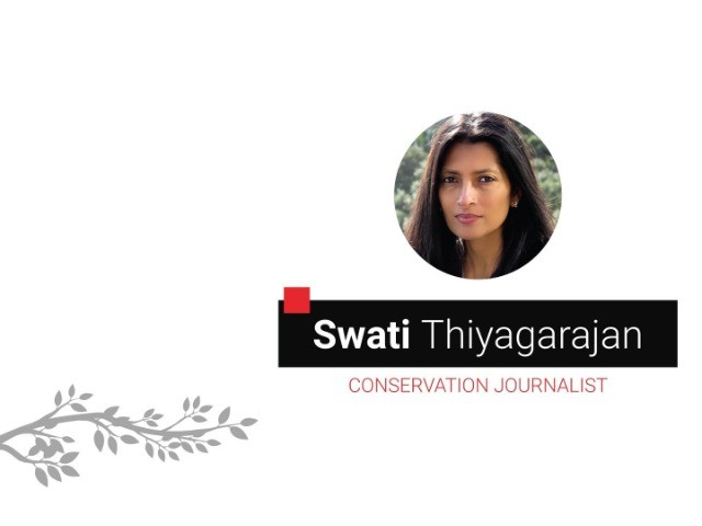 Anatomy of a Conservation Story