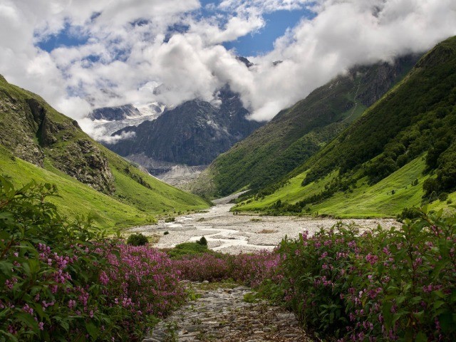 The Valley Of Flowers