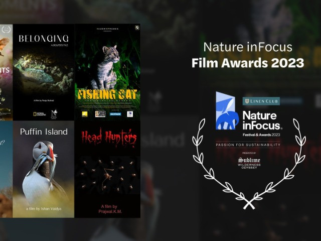 Nature inFocus Film Awards 2023: The Winners