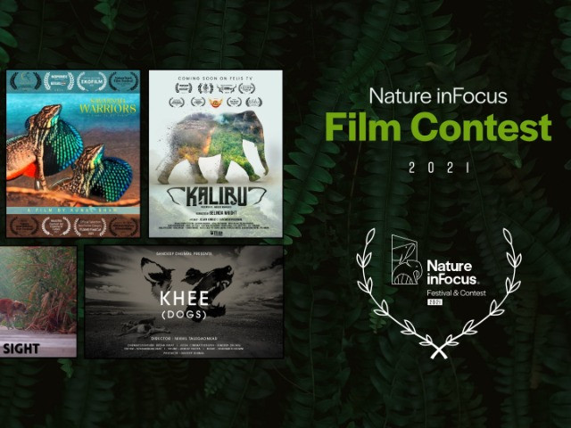 Nature inFocus Film Contest 2021: The Winners