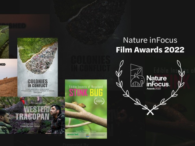 Nature inFocus Film Awards 2022: The Winners