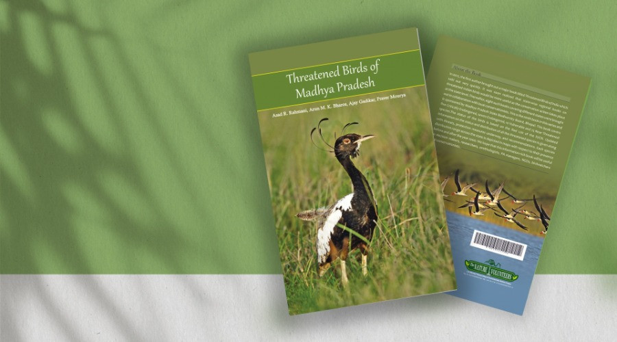 Threatened Birds Of Madhya Pradesh