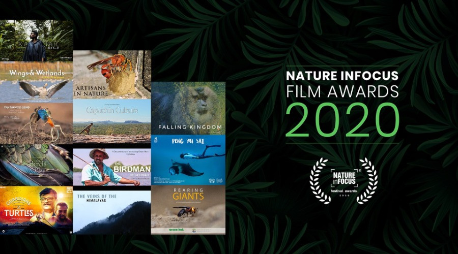 Nature inFocus Film Awards 2020: The Winners