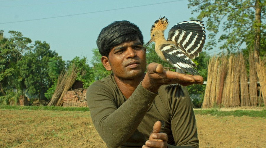 A Wildlife Enthusiast's Journey Towards Conservation