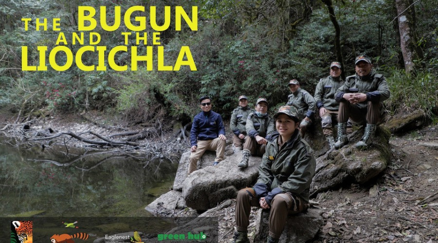 The Bugun and The Liocichla