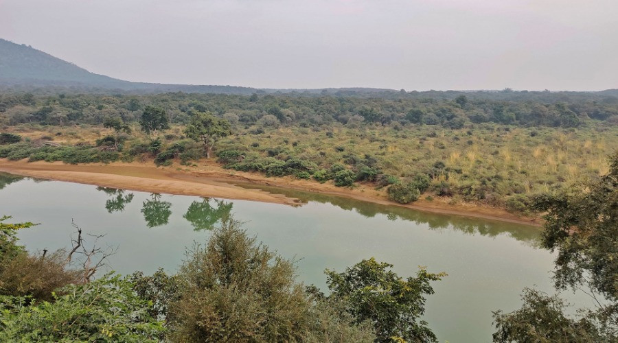 Kuno National Park: The Hidden Gem Of India's Heartland