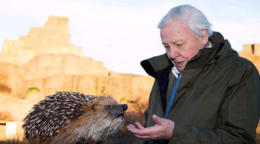 The Attenborough Top Ten