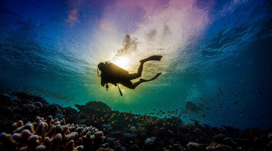 A Lens On The Ocean