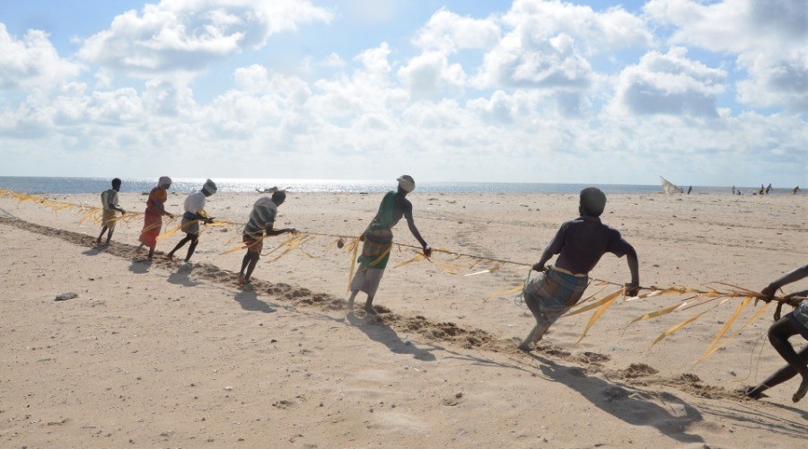 Pulling At Destiny: The Shore Seiners Of Tamil Nadu