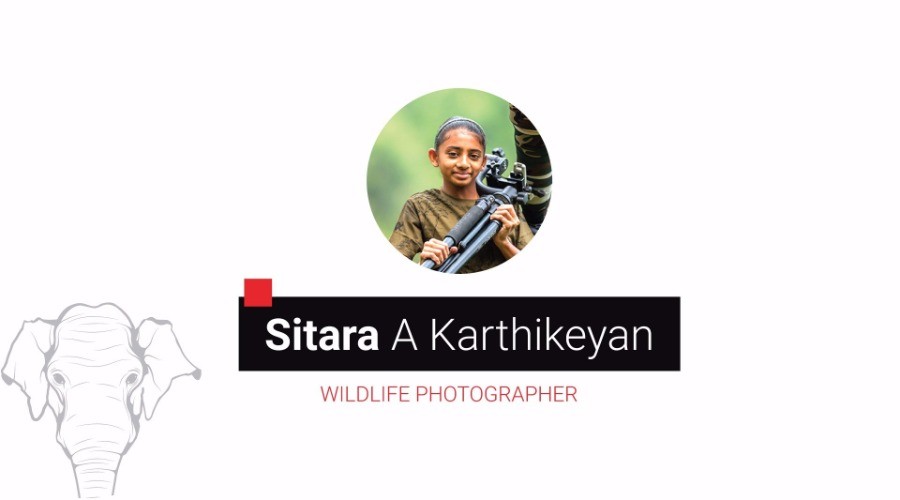 A Young Photographer's Journey