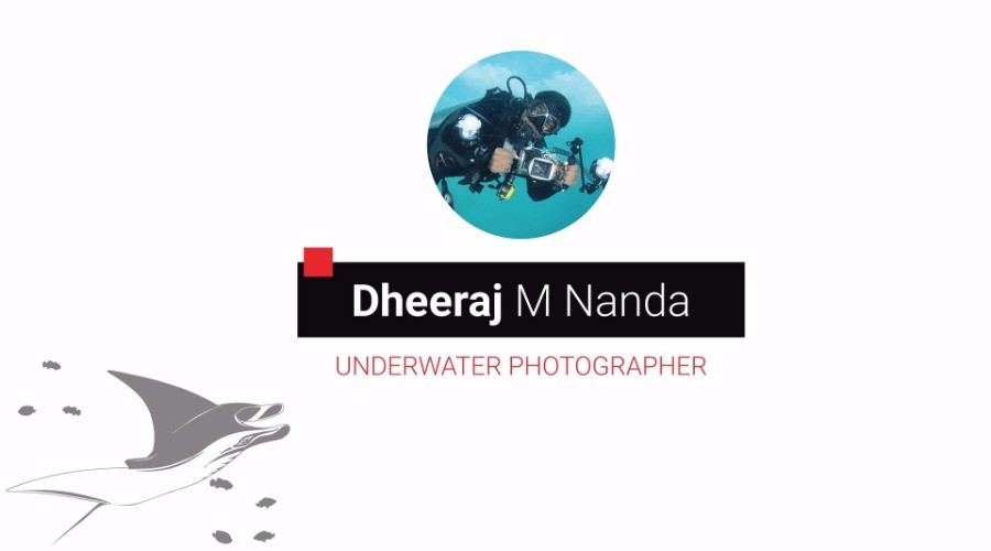 A Young Diver's Adventures