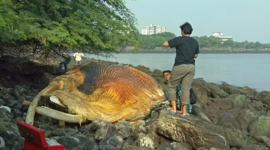 First Responders of the Marine Kind