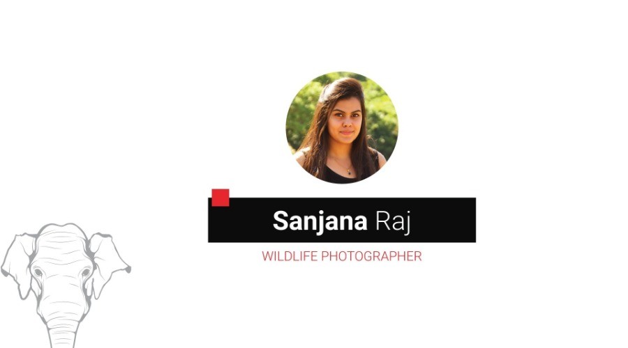 Finding Your Photography Style