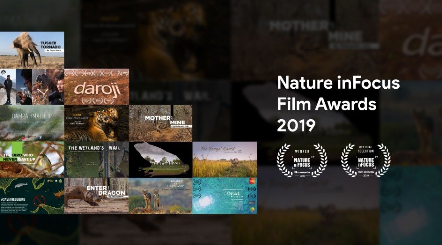 Nature inFocus Film Awards 2019: The Winners