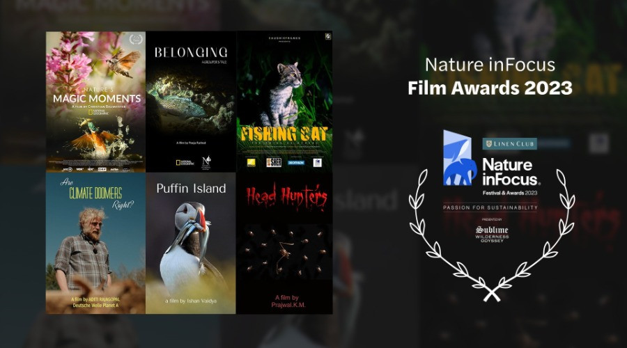 Nature inFocus Film Awards 2023: The Winners