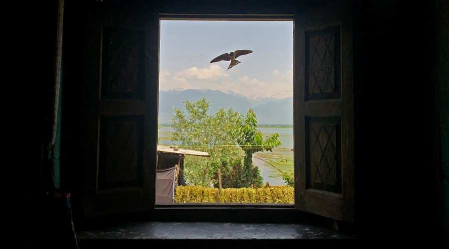The Beloved Katij Of Kashmir