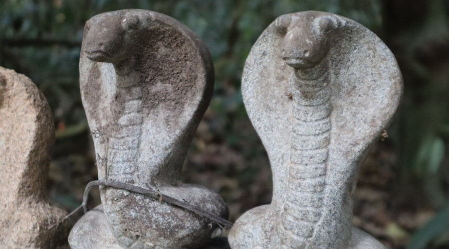 The Forgotten Sanctuaries