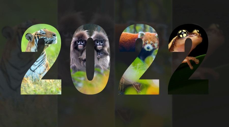 The Top Twelve Nature inFocus Stories Of 2022