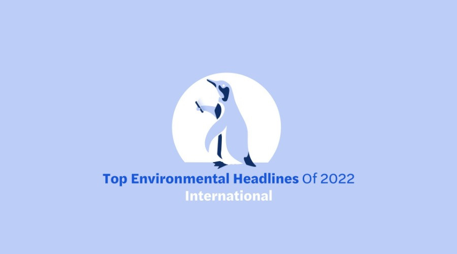 Top Environmental Headlines Of 2022—International