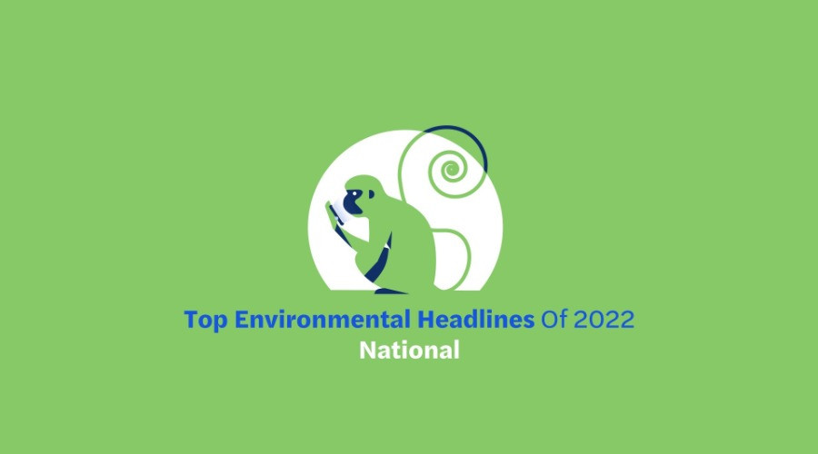 Top Environmental Headlines Of 2022—National