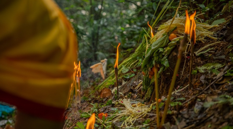 Sacred Spaces of Myristica Swamps