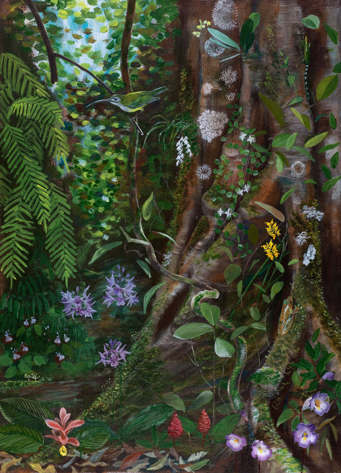 Illustration of the flora and fauna around a rainforest tree buttress