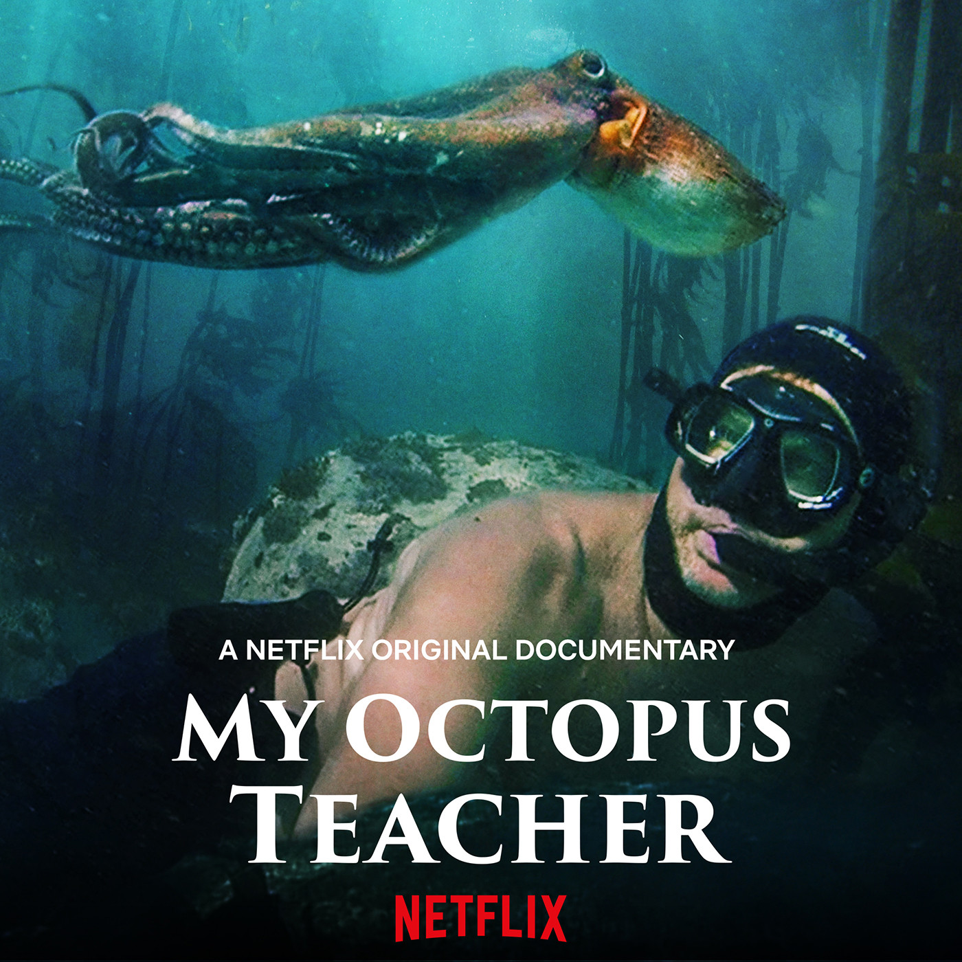 My octopus teacher - My Octopus Teacher: Conversations with Craig Foster & Pippa Ehrlich | Nature inFocus