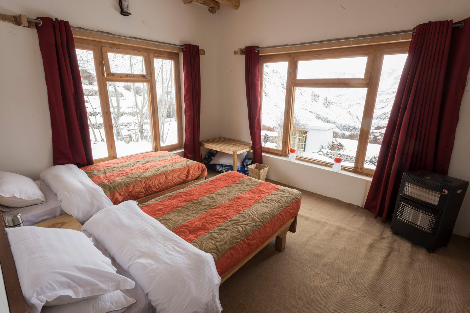 The Guest Room at Snow Leopard Lodge v SLL | Nature Infocus