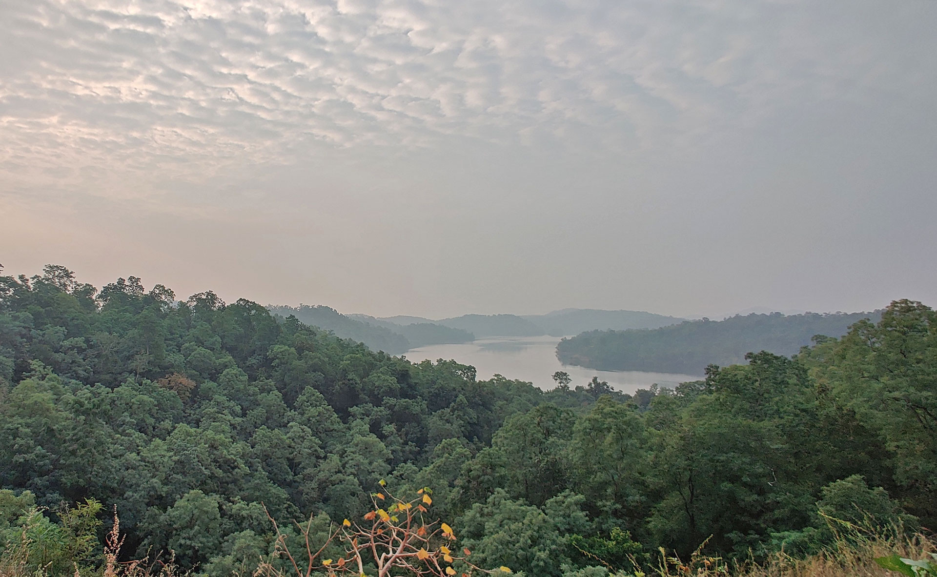 AG Landscape STR | Nature Infocus