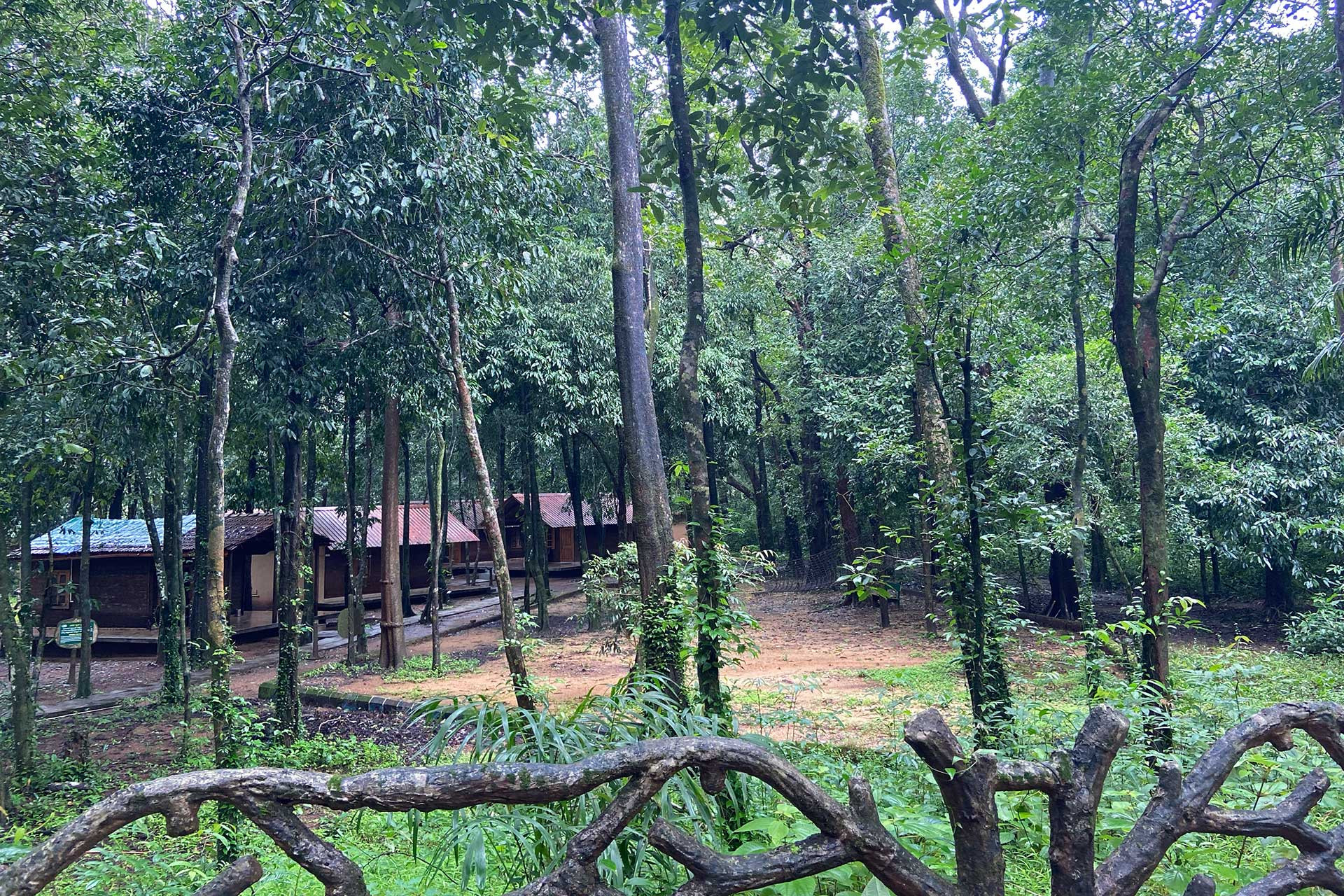 Anejhari Camp Cottages Sourabha Rao | Nature Infocus
