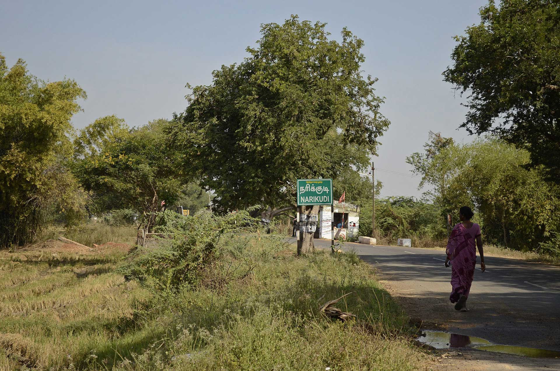 Board showing Narikkudi village JEG | Nature Infocus