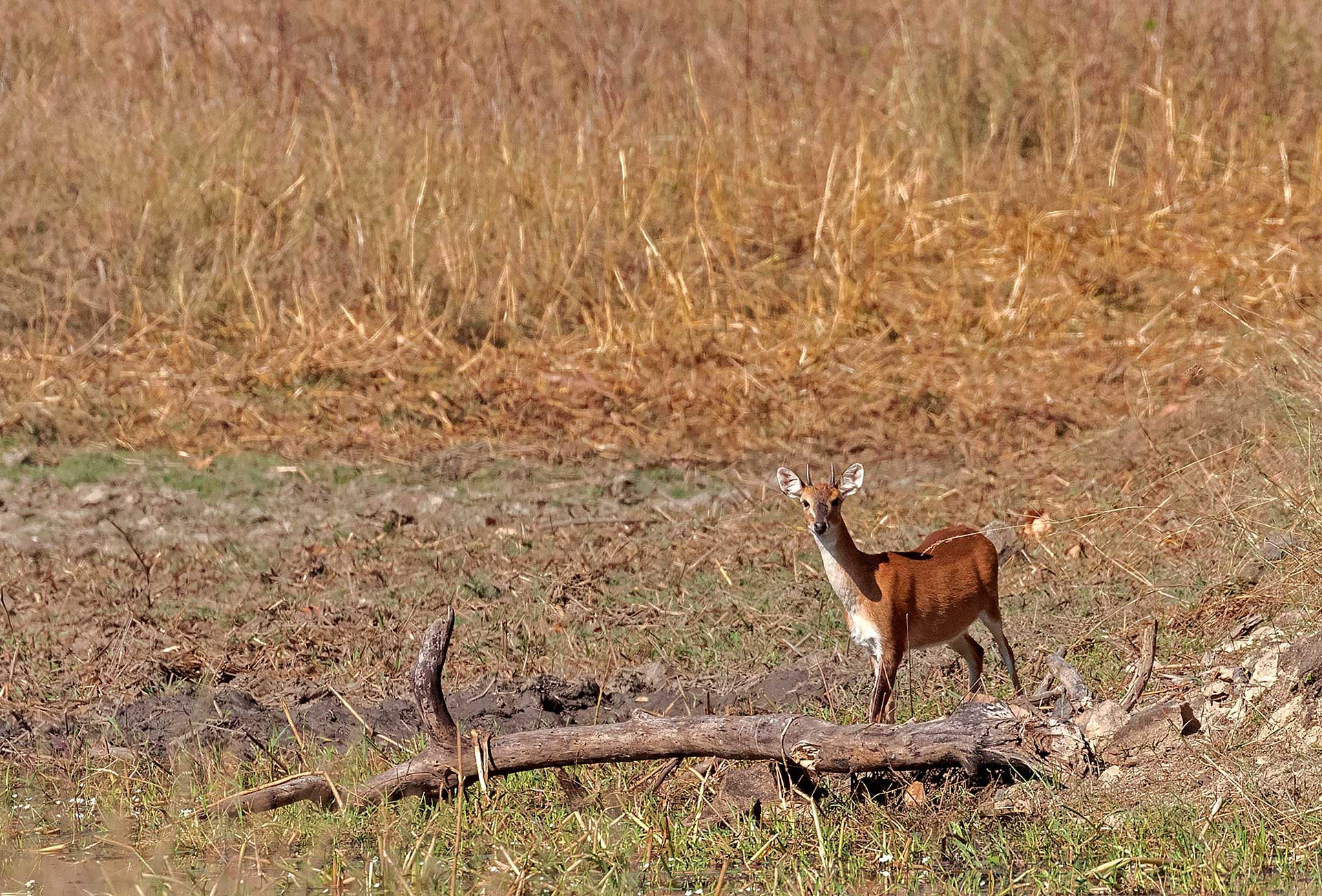 Dadra Siddhesh Ghadi | Nature Infocus