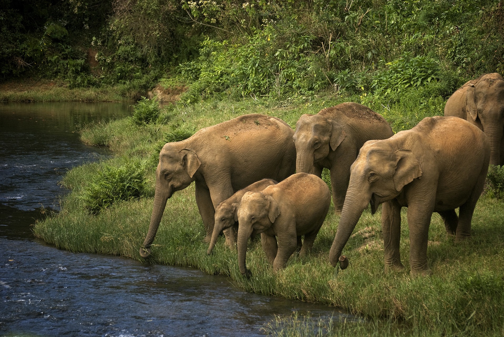Dsc - Quick Five: Sreedhar Vijayakrishnan | Nature inFocus