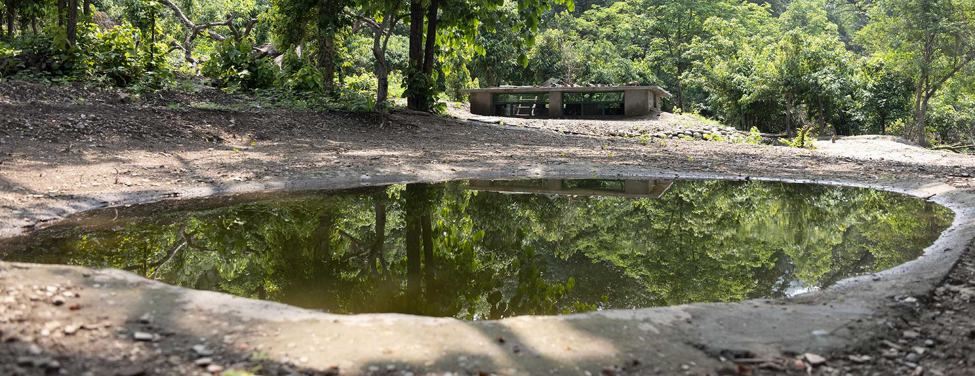 Jamoon Page | Nature Infocus