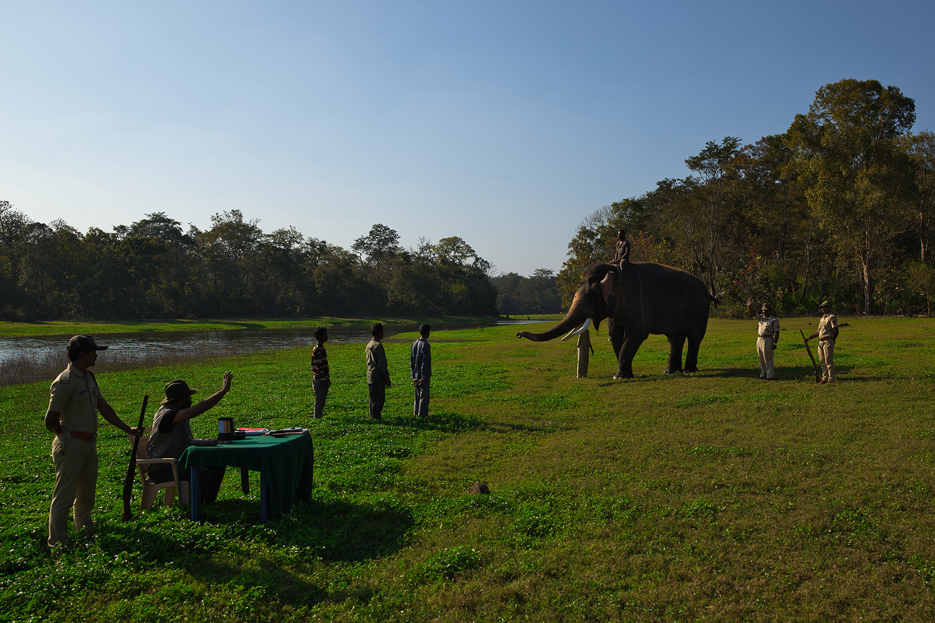 Mahout recruitment for nif - Celebrating The Forests Of Karnataka | Nature inFocus