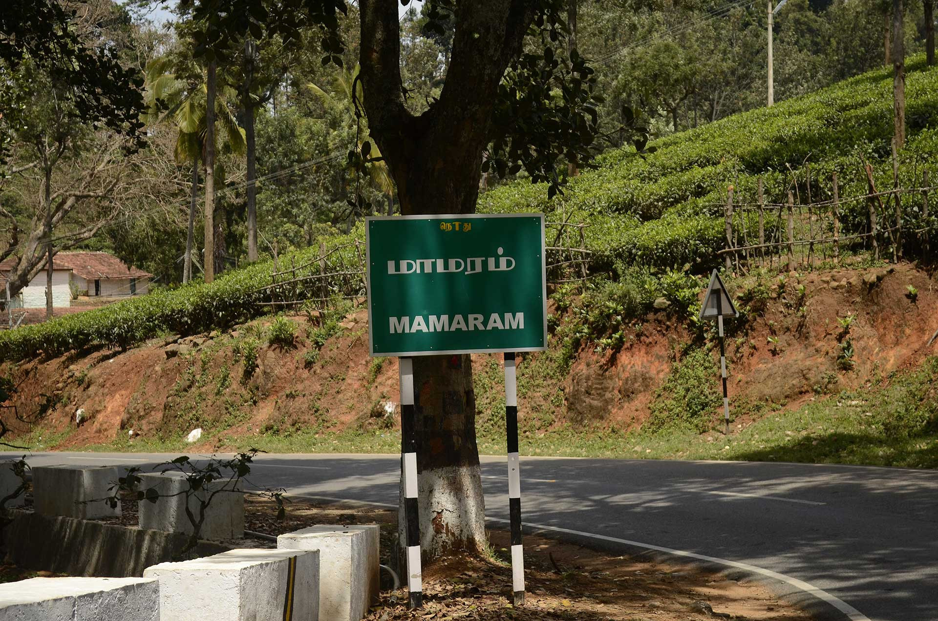 Mamaram road sign board in Tamil Nadu JEG | Nature Infocus