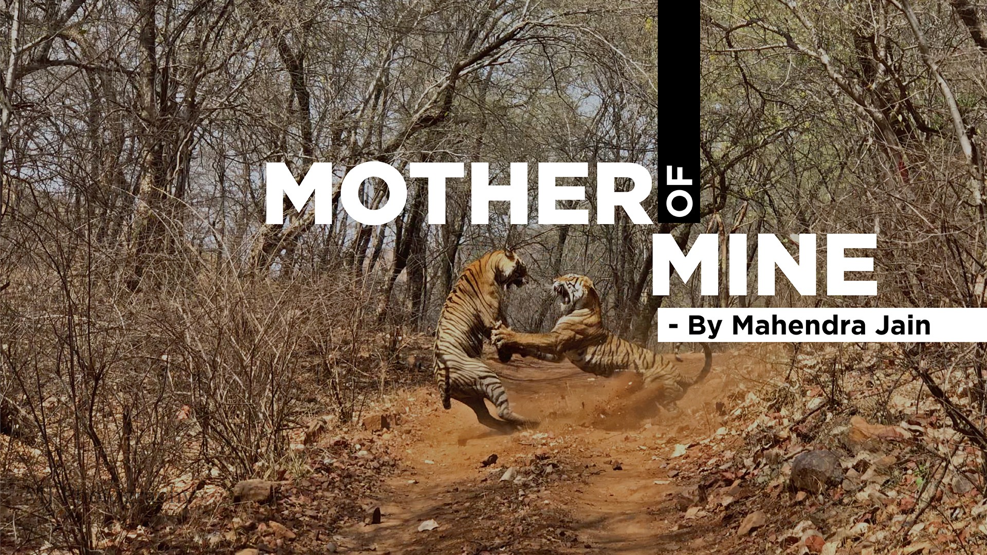Mother of mine - Nature inFocus Film Awards 2019: The Winners | Nature inFocus