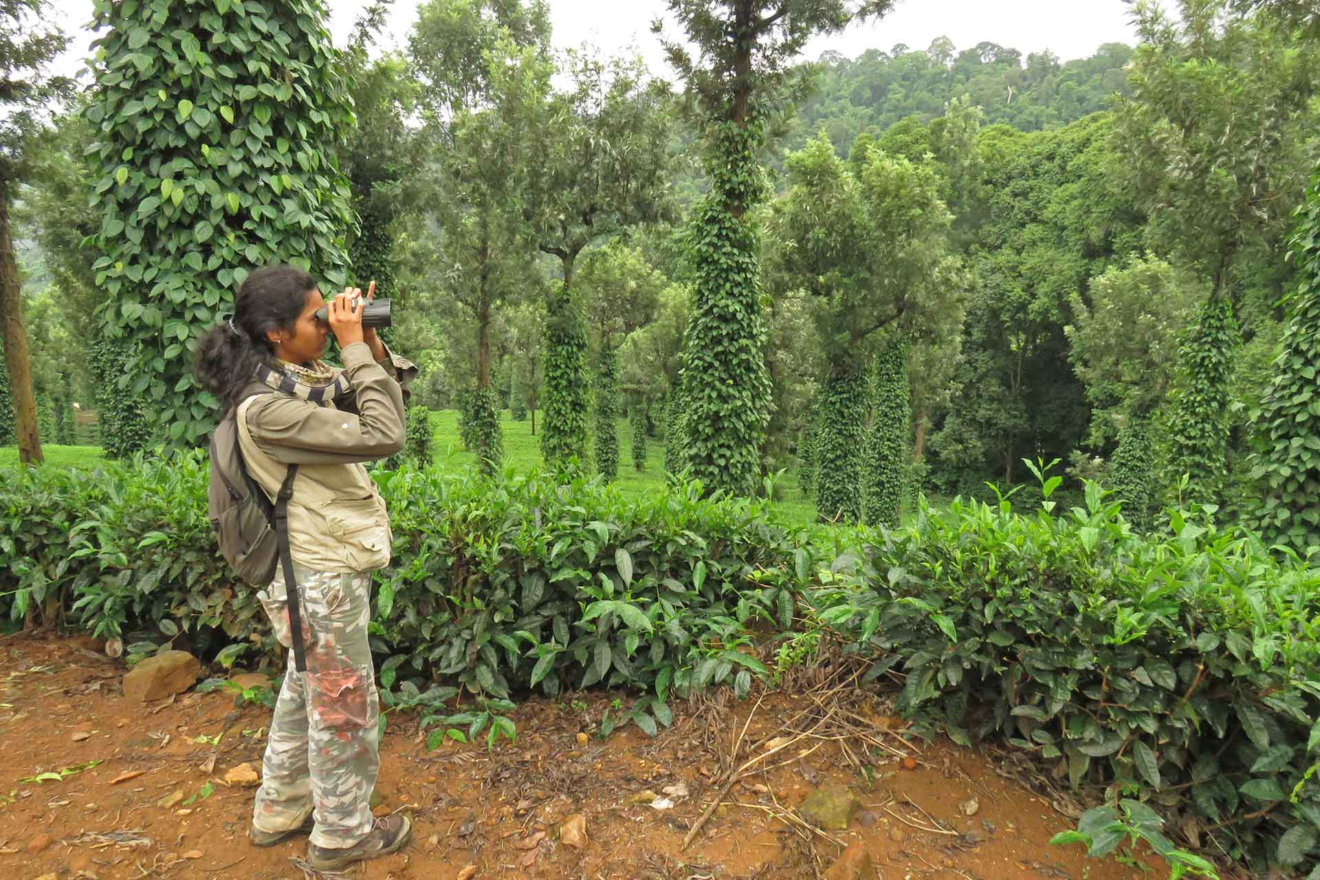 Pooja IMG | Nature Infocus