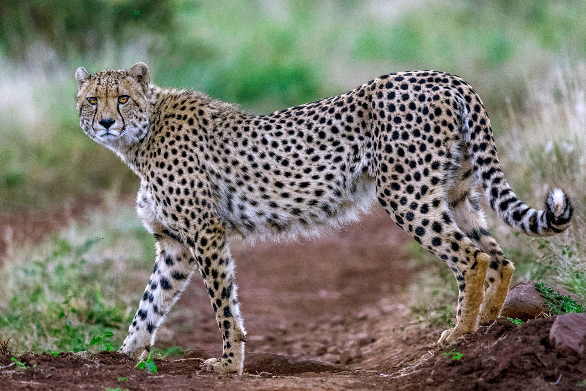 SanjayShukla SKK SS | Nature Infocus