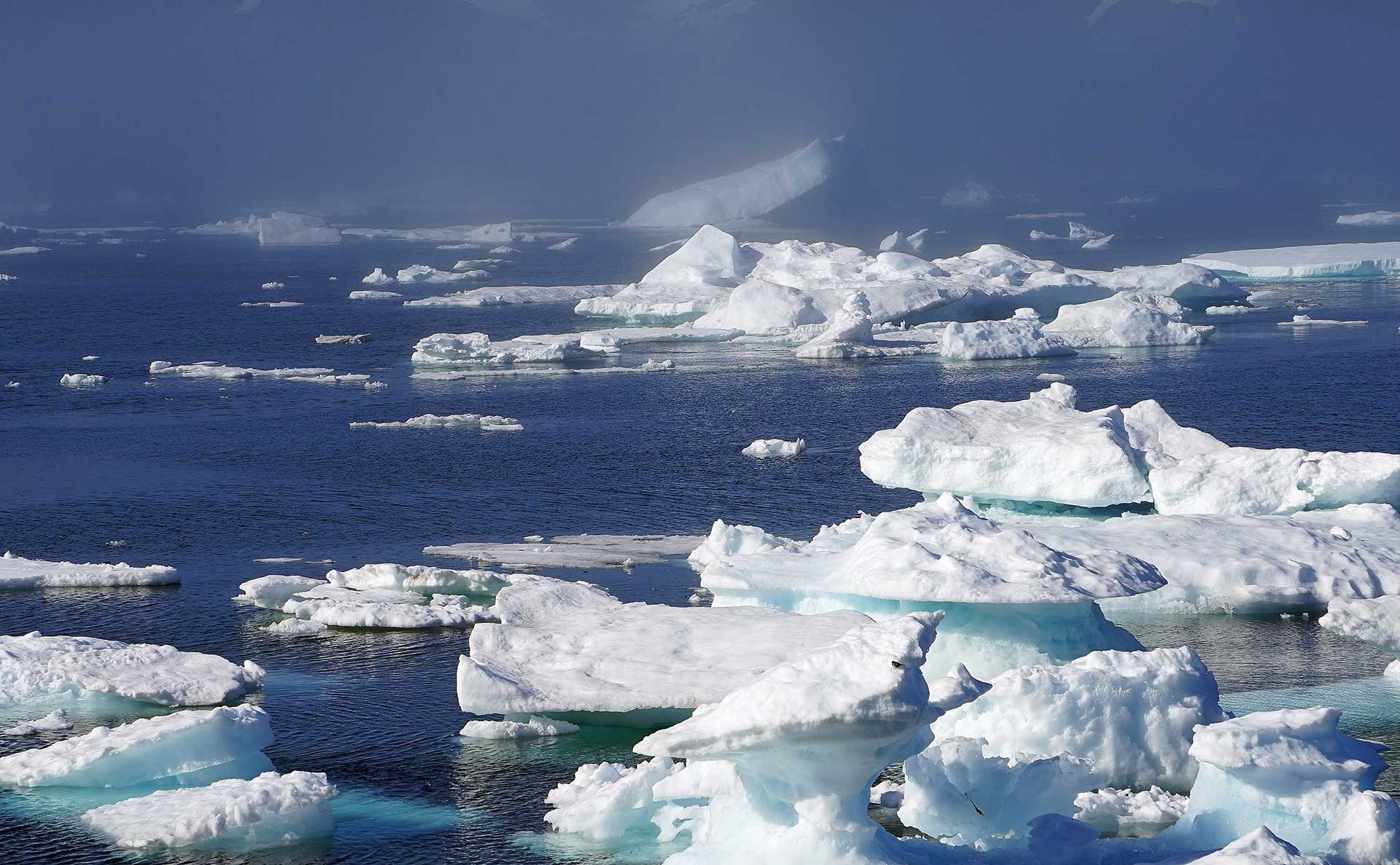   Melting Greenland ice cap