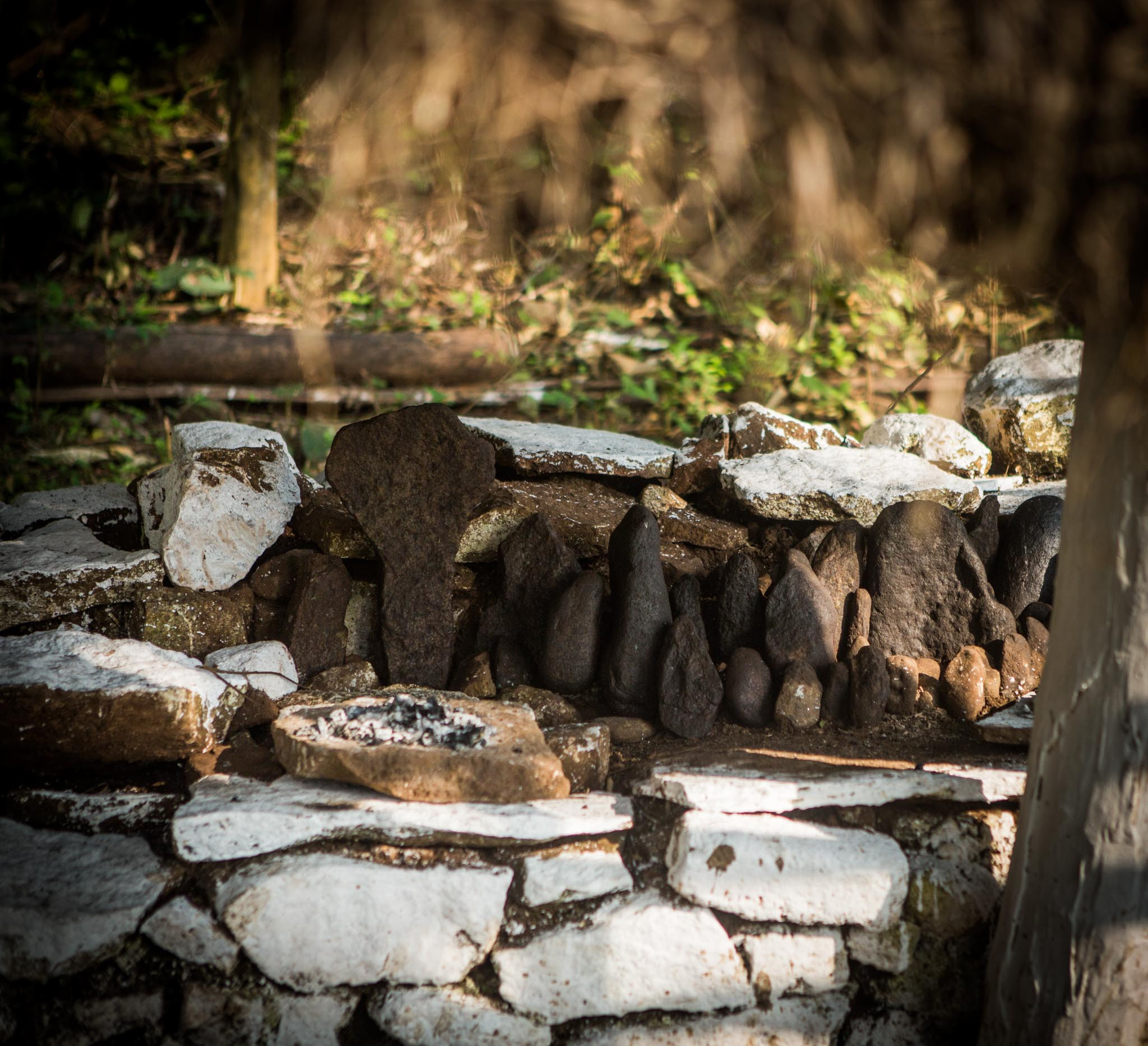 VLP TL | Nature Infocus